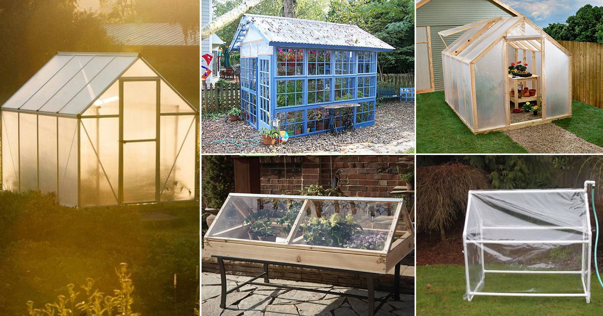 50 Budget-Friendly DIY Greenhouse Ideas | Balcony Garden Web