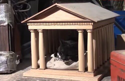 DIY Outdoor Cat House Ideas 10