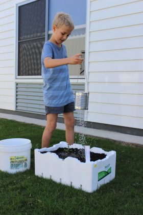 20 Easy DIY Watering Can Ideas You Can Make for Free | Balcony Garden Web