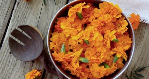 Reasons Why Marigold is Good for Your Garden 2
