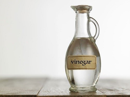 How Vinegar Improves Seed Germination