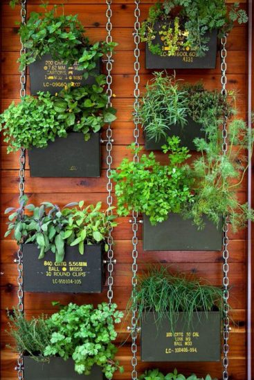 Edible Balcony Gardens That Prove Growing Your Food Is Possible