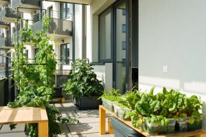 Edible Balcony Gardens that Prove Growing Your Food is Possible