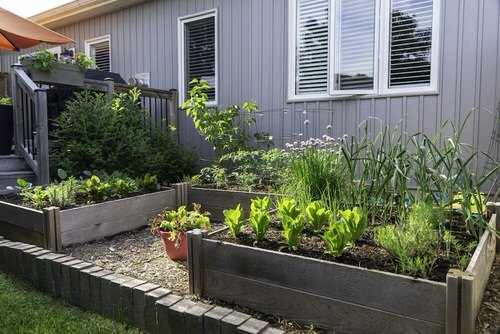 raised garden bed Container Vegetable Garden Design Ideas