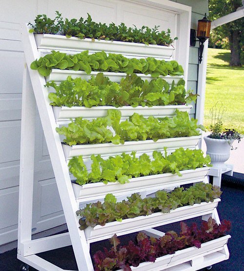 DIY Vertical Vegetable Garden Ideas 8