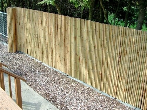 Bamboo Camouflage fence
