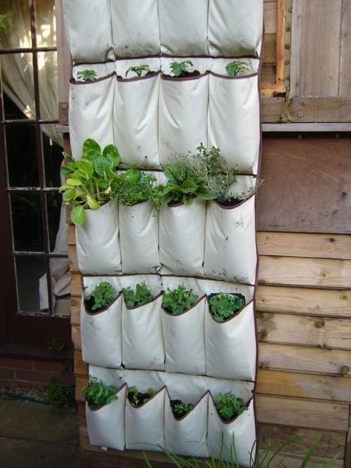 DIY Vertical Vegetable Garden Ideas 9