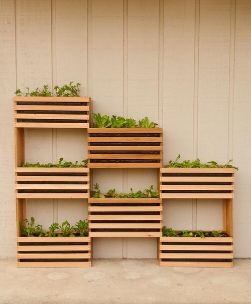 DIY Vertical Vegetable Garden Ideas 10