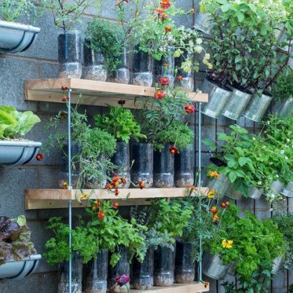 25 Plastic Bottle Vertical Garden Ideas | Soda Bottle Garden