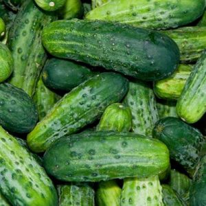 20 Best Pickling Cucumber Varieties | Best Cucumbers for Crunchy Pickles