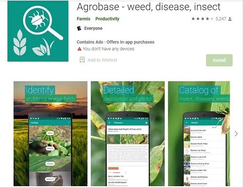 Best Plant Identification Apps 26