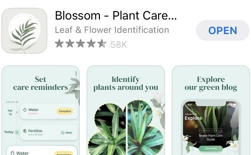 Best Plant Identification Apps 201