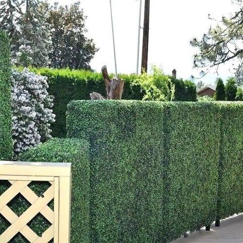 Faux Hedge fence