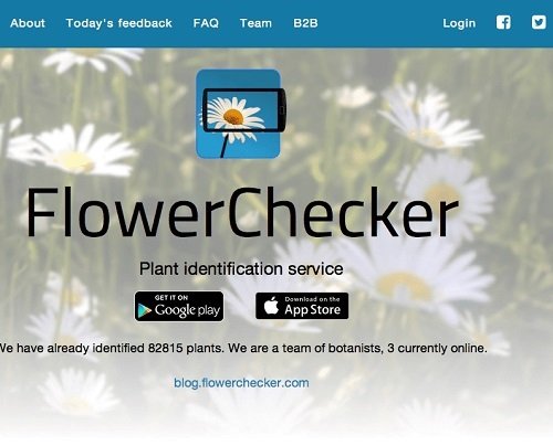 Best Plant Identification Apps 2