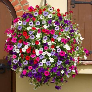 32 Amazing Flower Bed Ideas for Your Home Garden