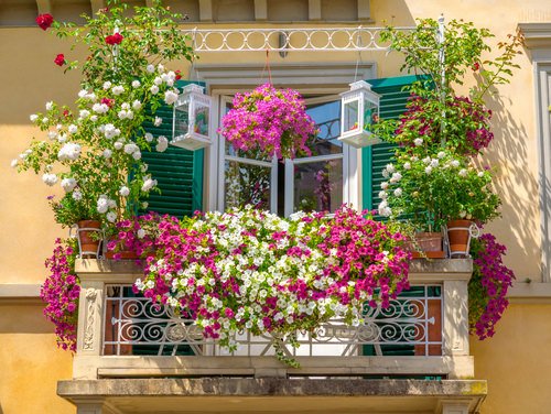 Balcony Flower Garden tips 12