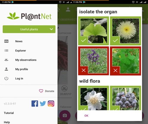 Best Plant Identification Apps 8