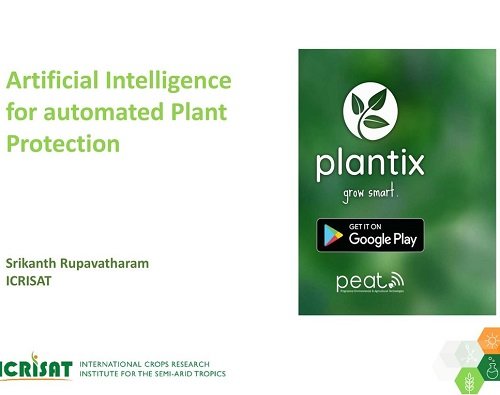 Best Plant Identification Apps 10