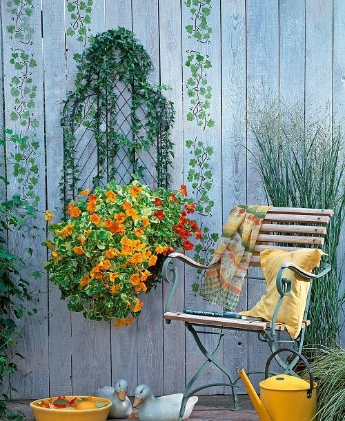 Best Hanging Basket Flowers 8
