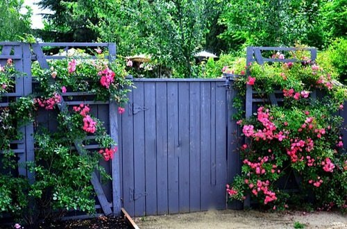DIY Pallet Fence Ideas 8