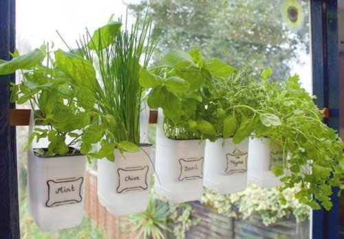32 DIY Hanging Herb Garden Ideas For Small Spaces!