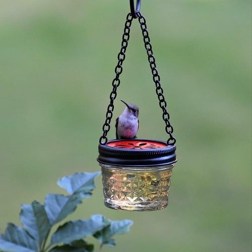 DIY Hummingbird Feeder Ideas 4
