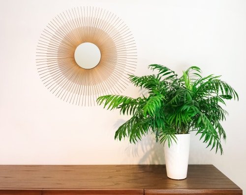 Parlor Palm with white pot 