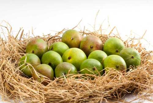 Different Types of Mangoes 58