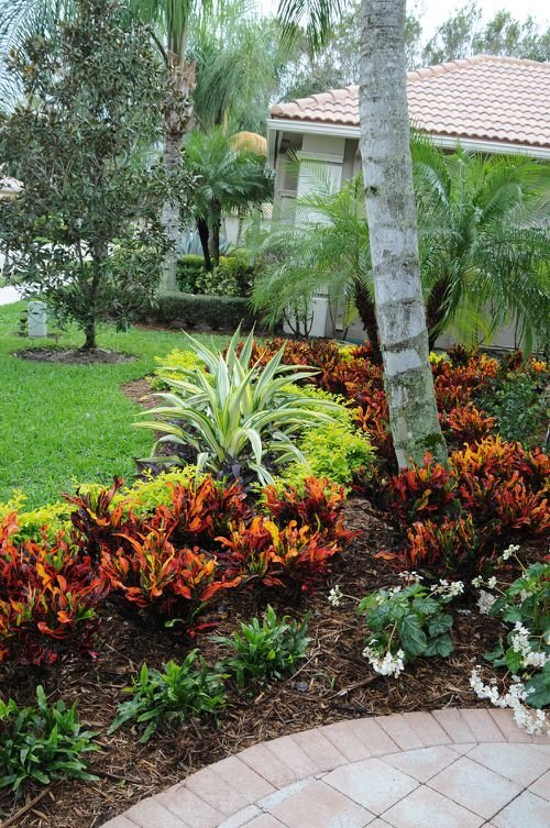 Landscaping with Croton Pictures 5