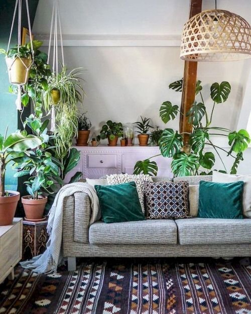 Really Small Living Room with Plant Ideas 6