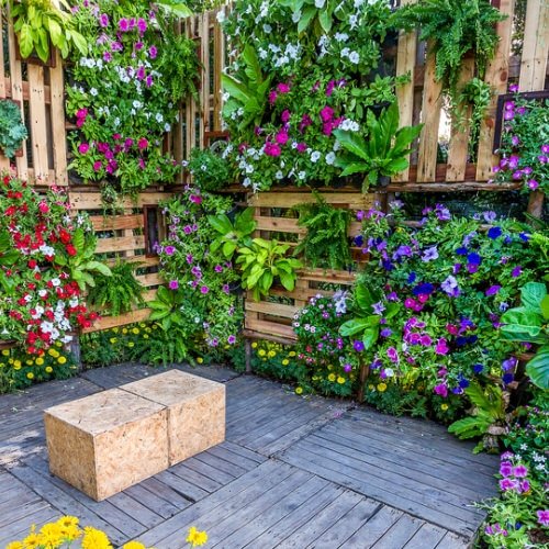Patio Wall Decorating Ideas with Plants 6