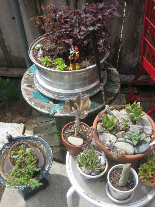 Old Garage Items Turned Into Cool Gardening Things 3