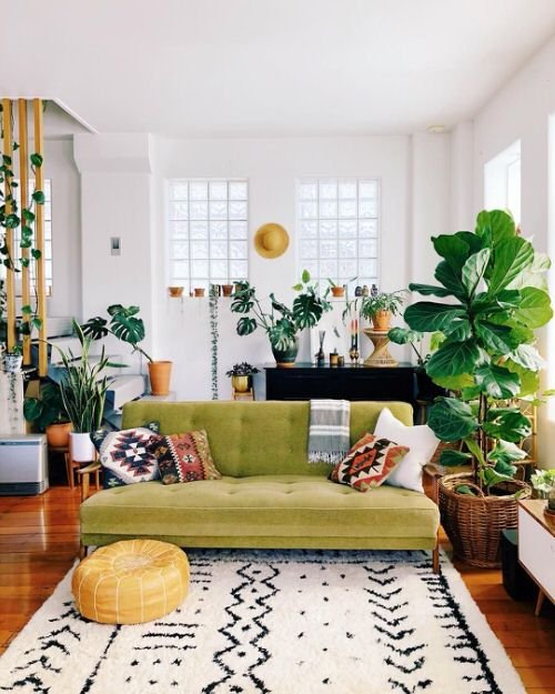 Really Small Living Room with Plant Ideas