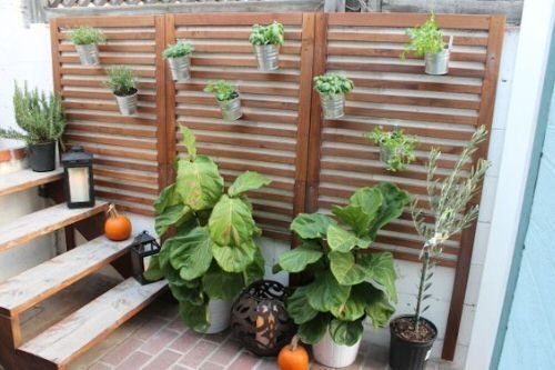 Patio Wall Decorating Ideas with Plants 2