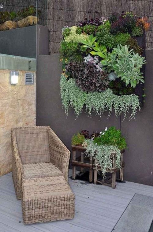 Patio Wall Decorating Ideas with Plants 3