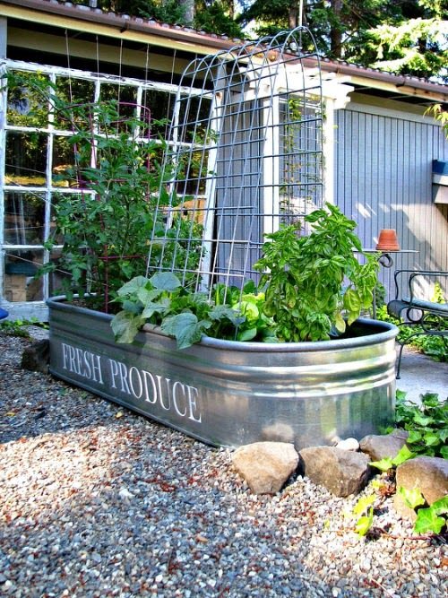 Best Tips to Grow More Vegetables in Small Space in garden