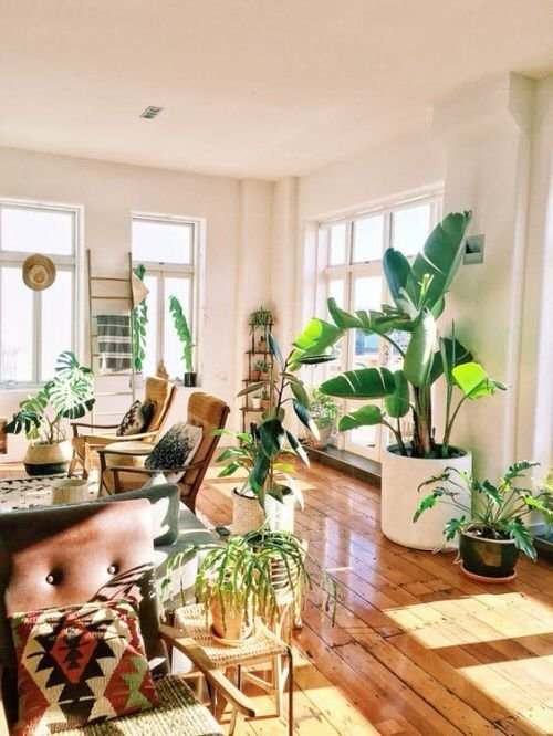 Really Small Living Room with Plant Ideas 4
