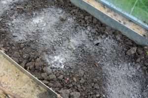 15 Hacks to Improve Your Garden Soil for Free