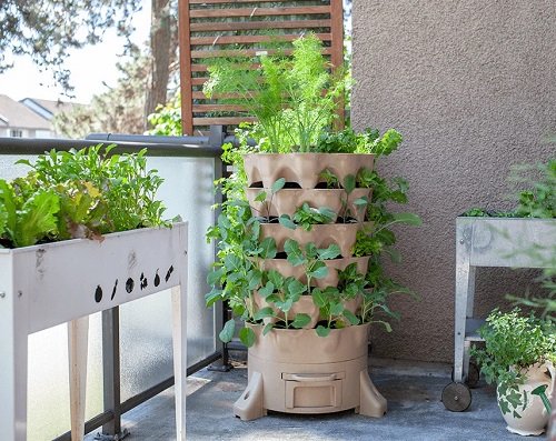 Top Tips to Grow More Vegetables in Small Space 1