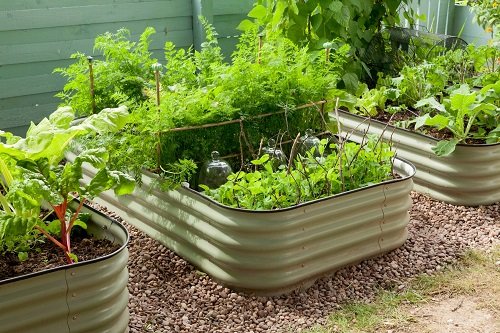 Top Tips to Grow More Vegetables in Small Space