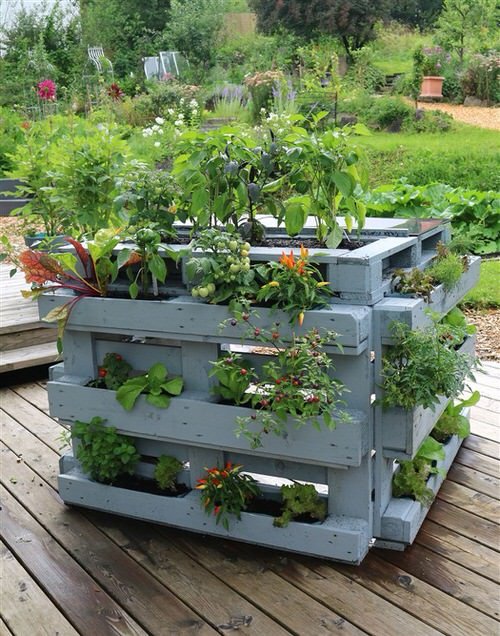 Best Places to Find Free Gardening Containers 7