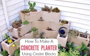 24 Amazing DIY Cinder Block Ideas for Garden | Balcony Garden Web