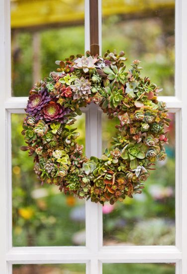 30 Amazing Outdoor Succulent Decoration Pictures | Balcony Garden Web