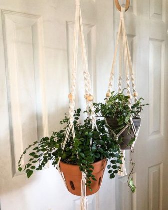 25 Indoor Plants to Grow in Macramé Plant Hangers