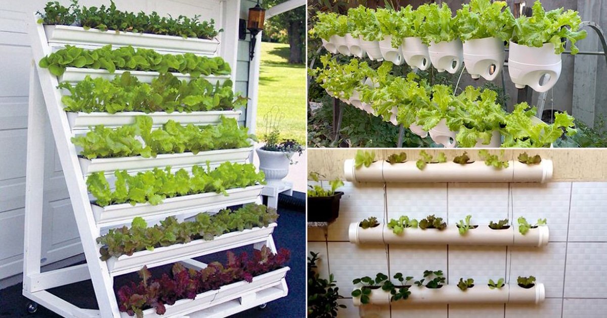 Grow Your Own Greens: Diy Vertical Hydroponic Gardening Tips