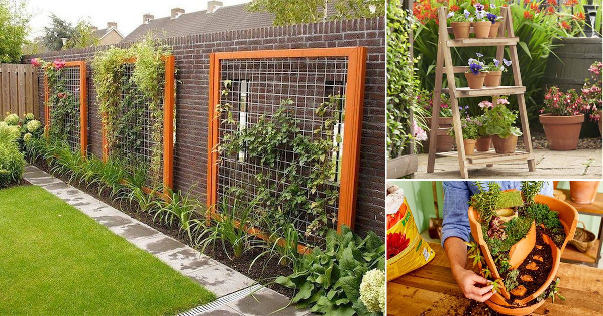 13 Instant Garden Makeover Tips in Budget | Balcony Garden Web