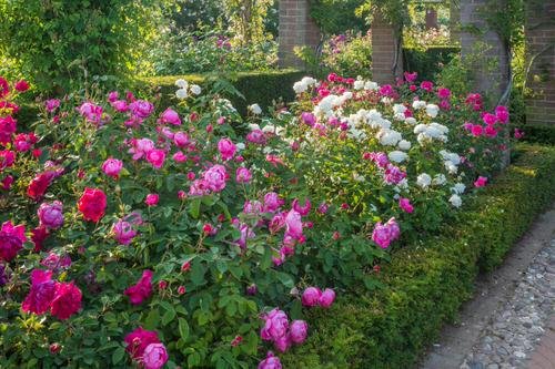 Amazing Flower Bed Ideas for Your Home Garden 13