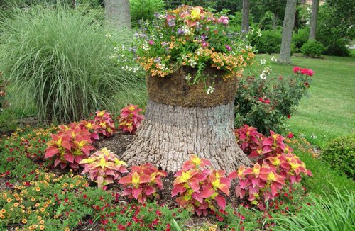 Amazing Flower Bed Ideas for Your Home Garden 4