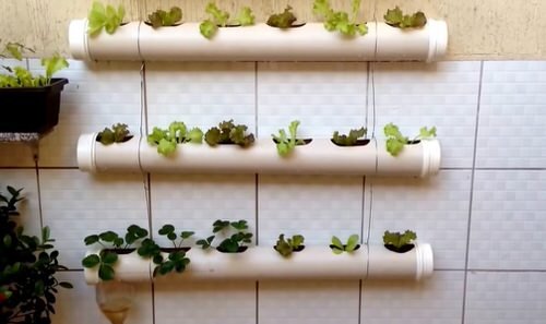 DIY Vertical Lettuce Garden Ideas