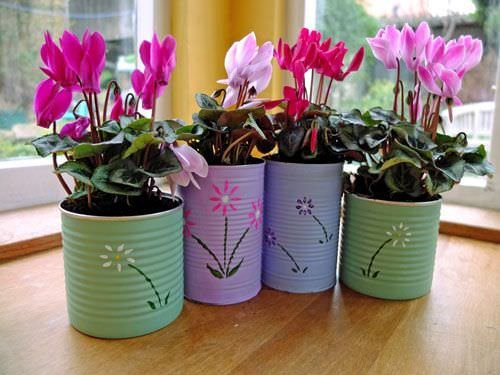 Cheap Gardening tip | flowers in containers